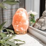 The Wellness Boost