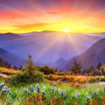 True Nature Acupuncture & Oriental Medicine