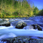 Holistic Health Acupuncture
