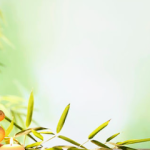 Points 2 Wellness