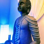 One Sweet World Acupuncture