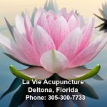 La Vie Acupuncture
