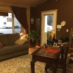 The Acupuncture Clinic