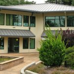 Aura Lenz Acupuncture