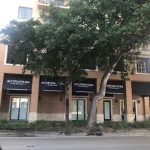 Acupuncture Alvarez