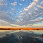 Vitality Acupuncture and Integrative Medicine
