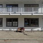 TAMARA WOLFSON OSTEO-ACUPUNCTURE & BEE THERAPY Natural Medicine Offices