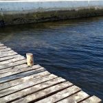 Frente Al Mar