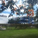Centro Educativo Frateli