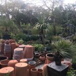 Vivero Rancho Viejo