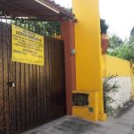 El Henequén De Zamná