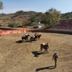 Lienzo Charro el Estribo