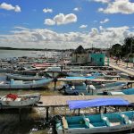 Boat Trip Rio Lagartos