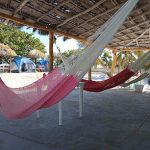Campamento Pijijí