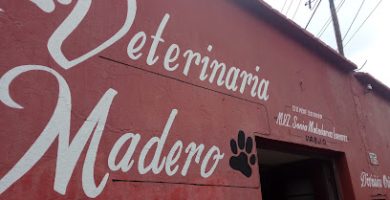 Veterinaria Madero