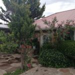 El Meson