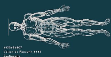 Fisioterapia