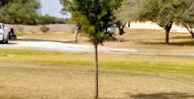 Centro de Investigación en Producción Agropecuaria