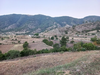 Ocotzingo