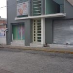 Auriculoterapia Y?zhì