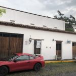 Medicina Holística (Homeopatía