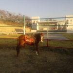 RANCHO SAN JOSE