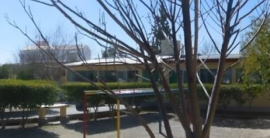Jardin de niños:FERNANDO MONTES DE OCA