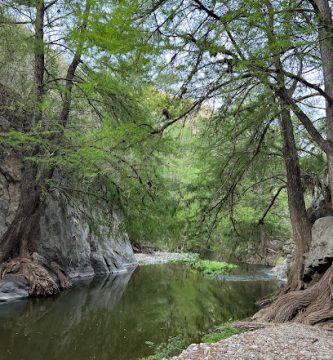 Centro Ecoturi?stico La Angostura