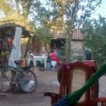 Quimichis Nayarit
