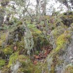 Ecoturismo San Pablo Etla