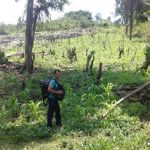 Piedras Negras