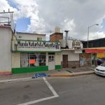 Mundo Naturista Manantial