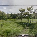FRACCIONAMIENTO GUAYACAN