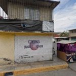 Quiropráctico Terapias Naturistas