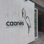 Caanes Medicina Veterinaria Oriental