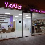 Acupuntura y Veterinaria Yayvet