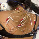 AUIMEC Asociación Unión Internacional Medicinas Complementarias Tratamientos y Cursos Acupuntura Madrid