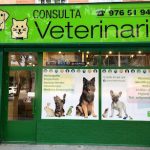 ACTUR Veterinaria