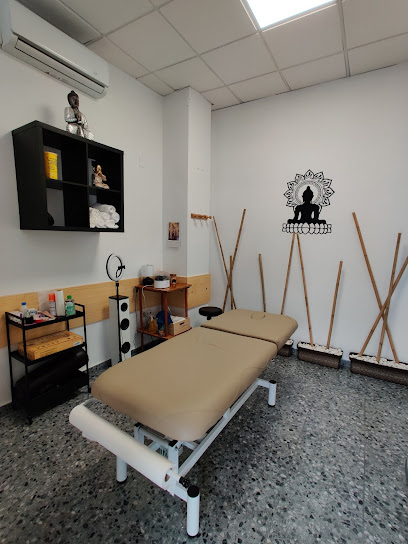 Quiromasaje y osteopatía Carmen Molinero