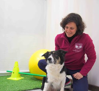 Reivet - Centro Veterinario de referencia en Rehabilitación y Acupuntura Veterinaria